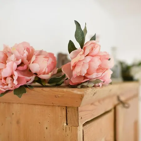 Apartamento Zum Ybbsturm