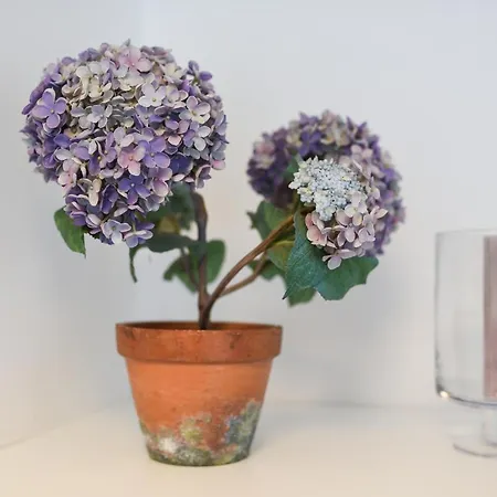 Apartamento Zum Ybbsturm *