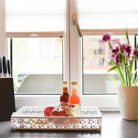 Apartamento Zum Ybbsturm *