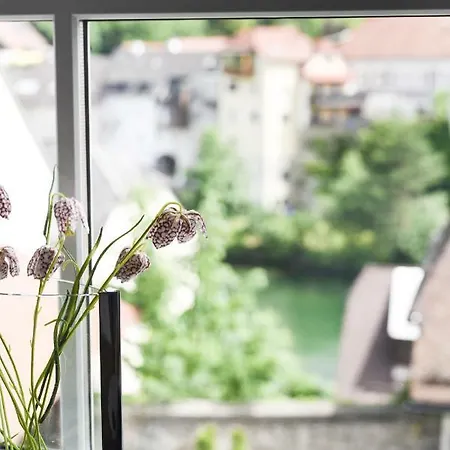 Apartamento Zum Ybbsturm *