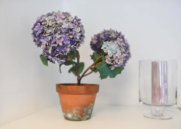 Apartment Zum Ybbsturm *