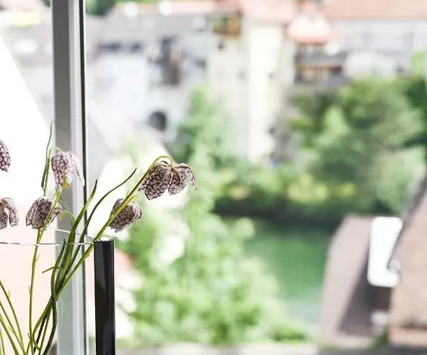 Apartment Zum Ybbsturm *